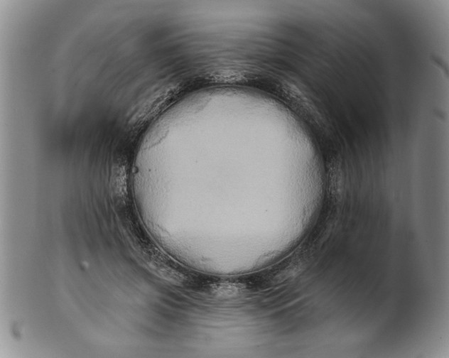 X0000100970549200807081222