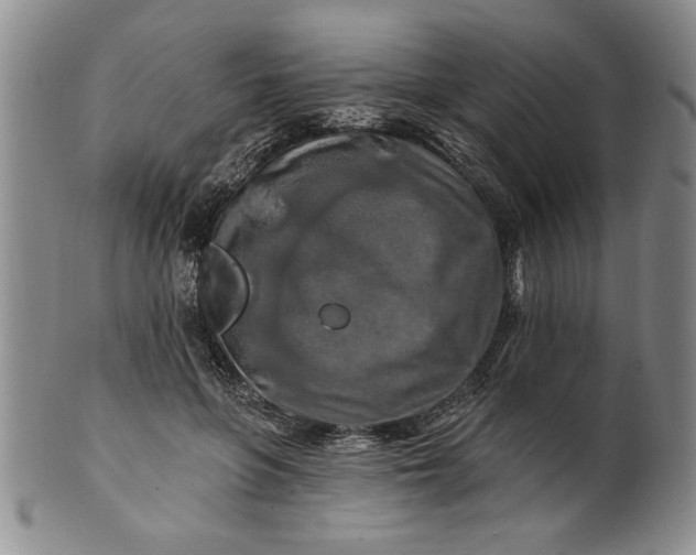 X0000100970551200807081222