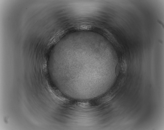 X0000100970552200807081222
