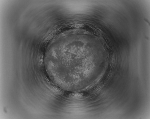 X0000100970553200807081222