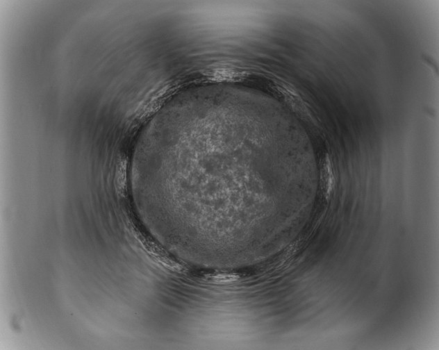 X0000100970554200807081222