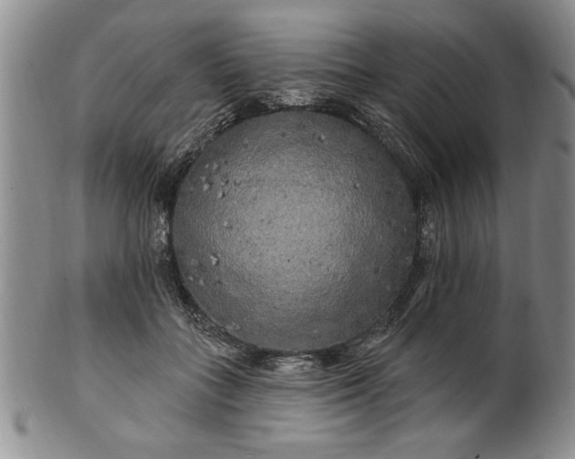 X0000100970555200807081222