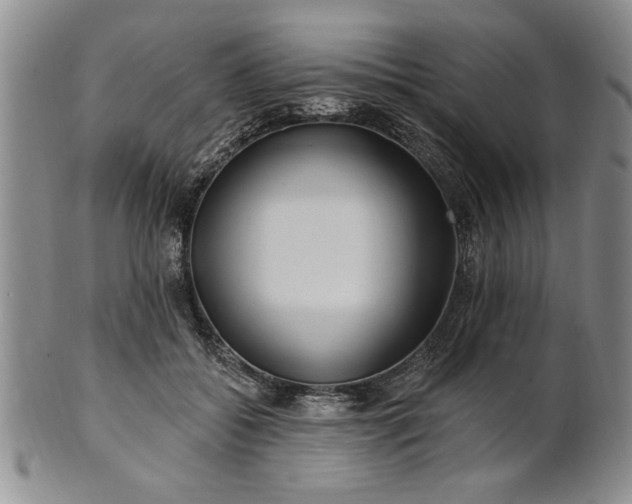 X0000100970556200807081222