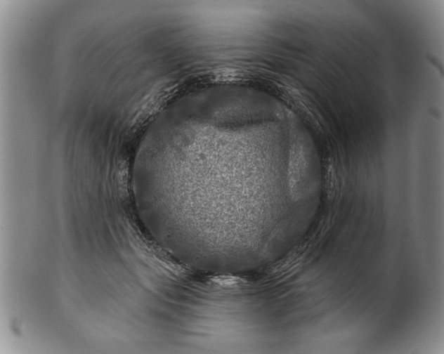 X0000100970557200807081222