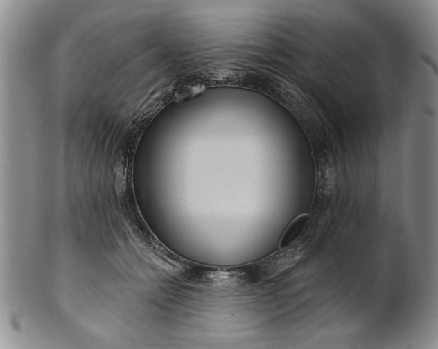 X0000100970558200807081222