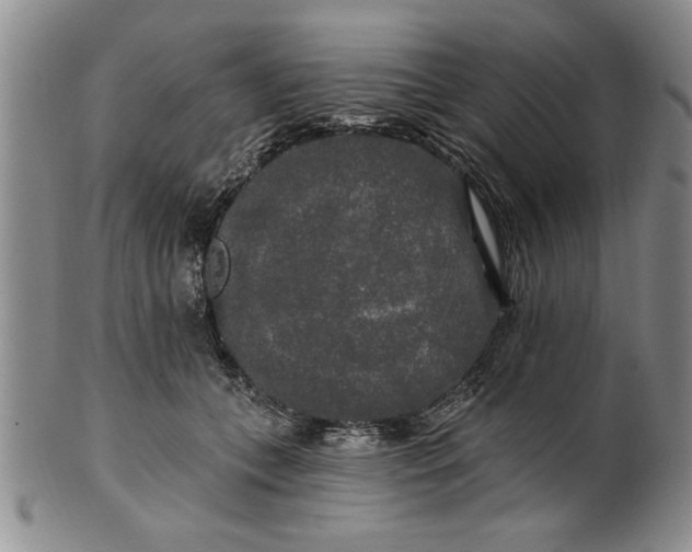 X0000100970559200807081222