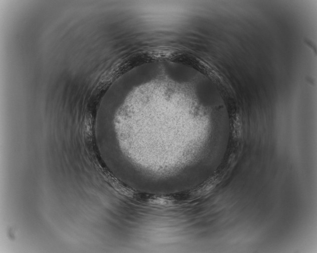 X0000100970561200807081222