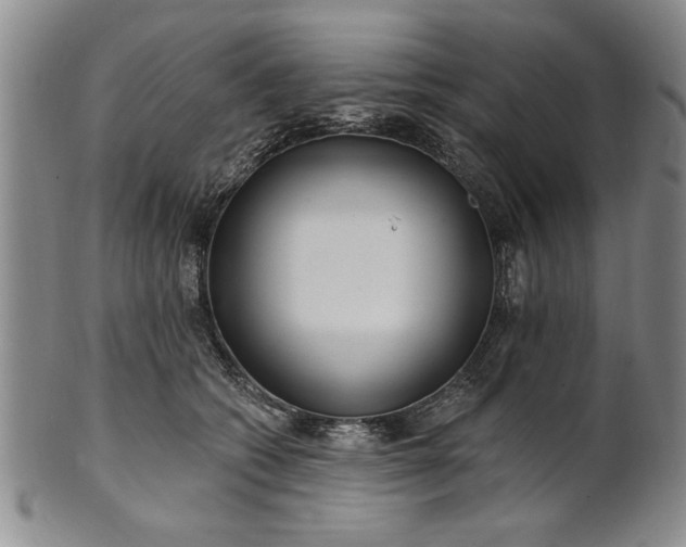 X0000100970562200807081222