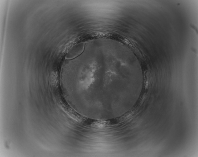 X0000100970563200807081222