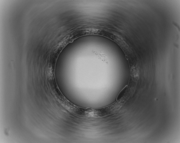 X0000100970564200807081222
