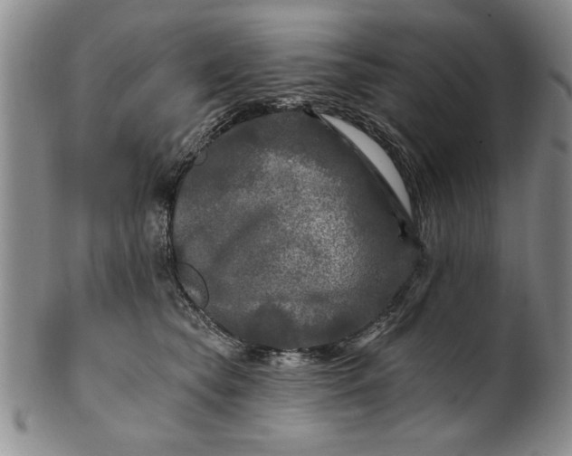 X0000100970565200807081222