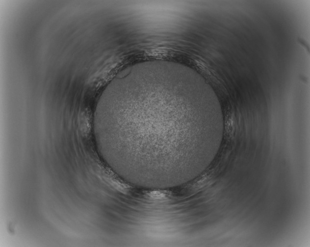 X0000100970566200807081222