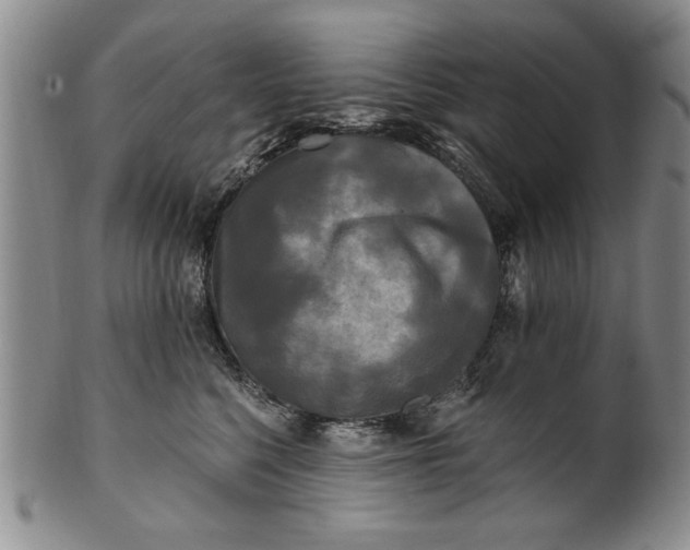 X0000100970568200807081222