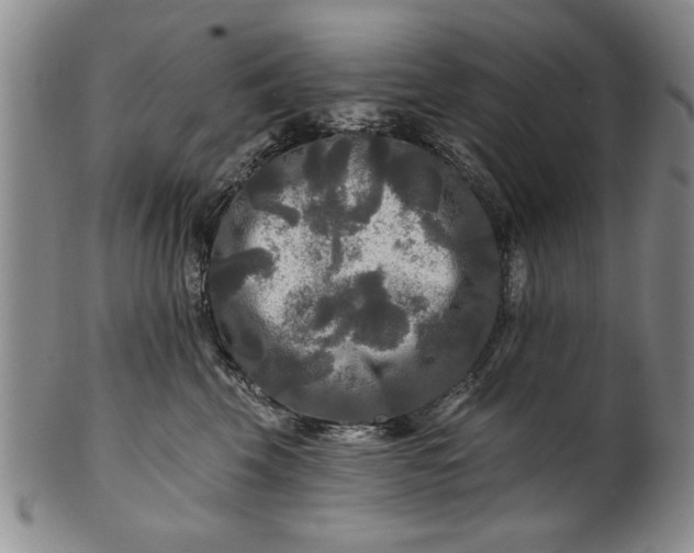 X0000100970569200807081222