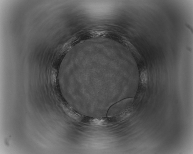 X0000100970570200807081222