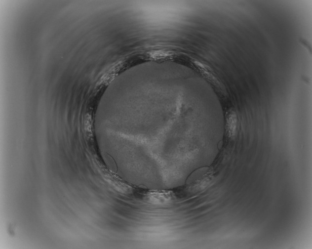 X0000100970571200807081222