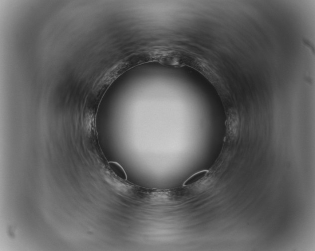X0000100970574200807081222