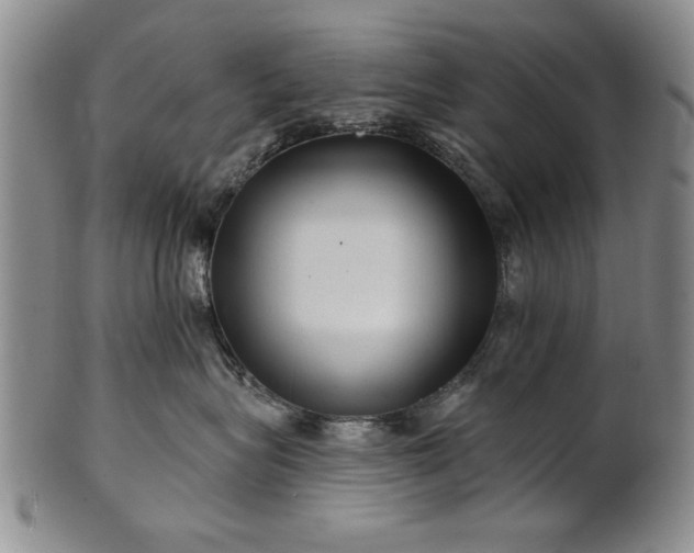 X0000100970575200807081222