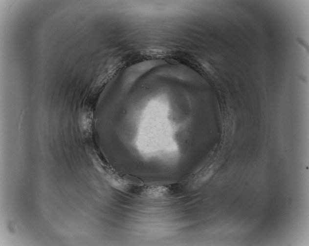 X0000100970576200807081222