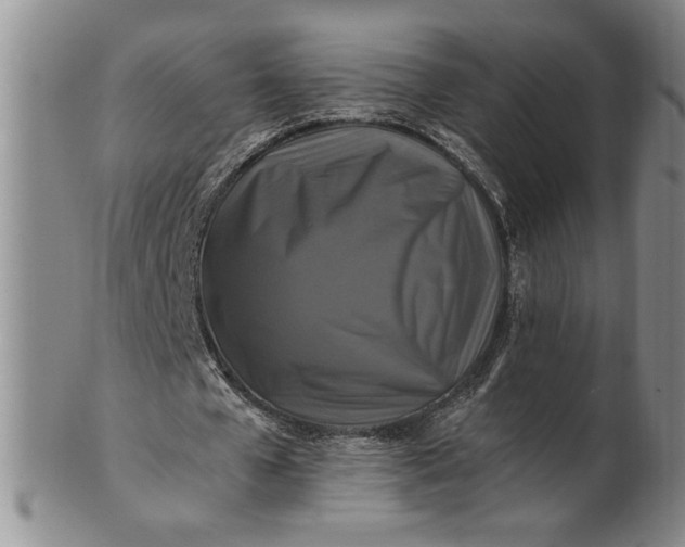 X0000100970577200807081222