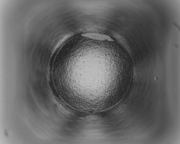 X0000100970578200807081222