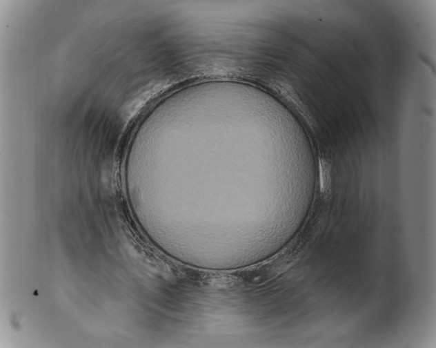 X0000100970579200807081221