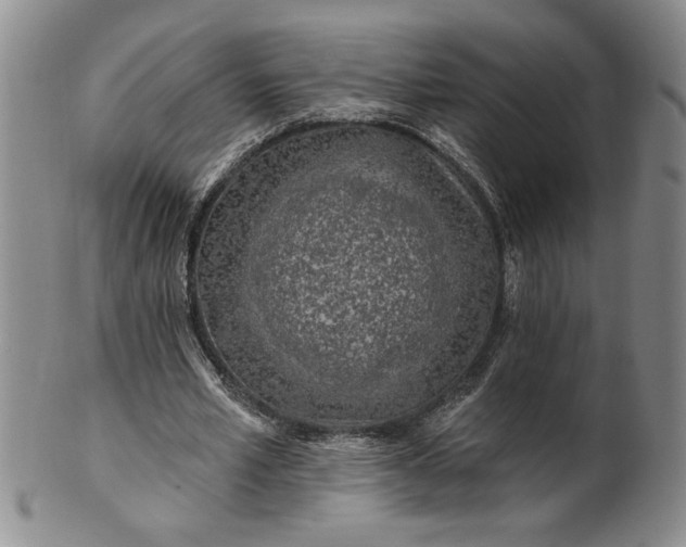 X0000100970581200807081221