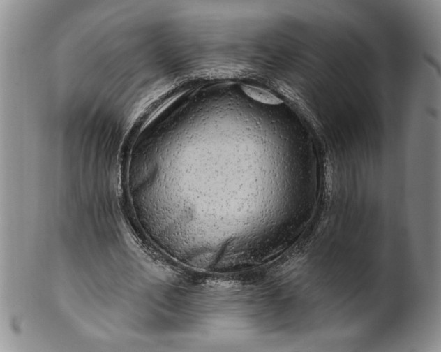 X0000100970582200807081221