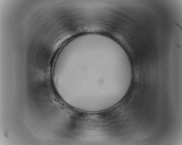X0000100970583200807081221