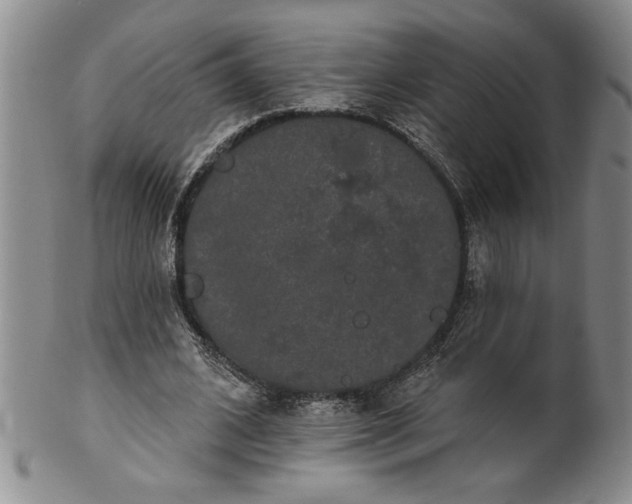 X0000100970584200807081221
