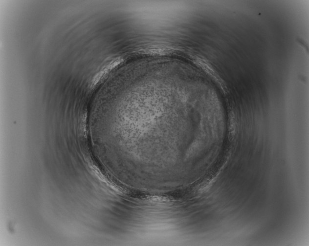 X0000100970585200807081221