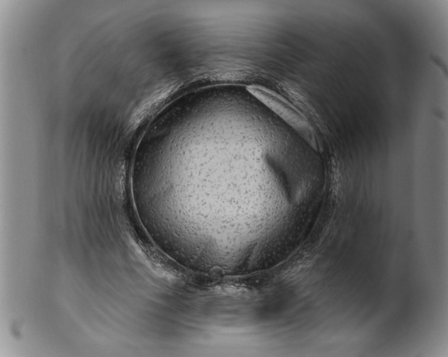 X0000100970586200807081221