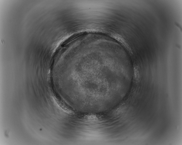 X0000100970588200807081221
