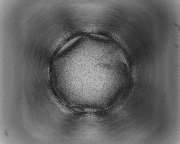 X0000100970589200807081221
