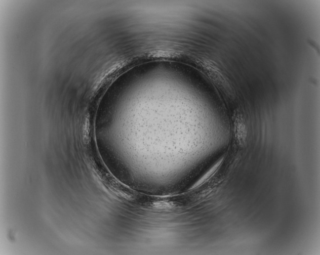 X0000100970591200807081221