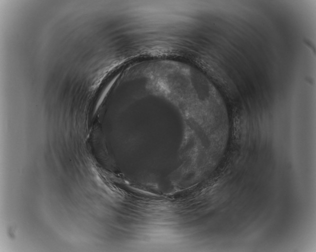 X0000100970592200807081221