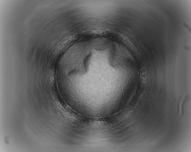 X0000100970593200807081221