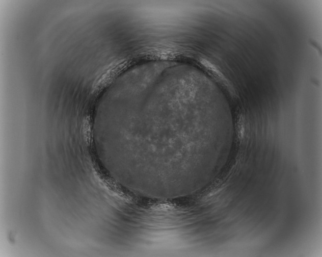 X0000100970594200807081221