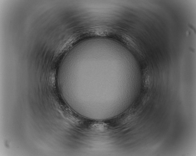 X0000100970595200807081221