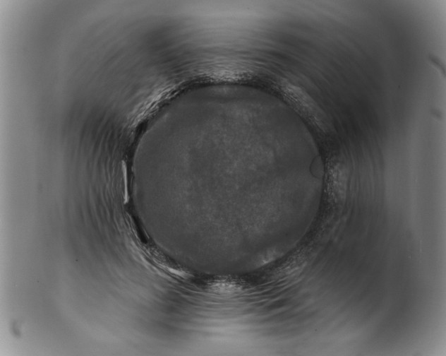 X0000100970596200807081221