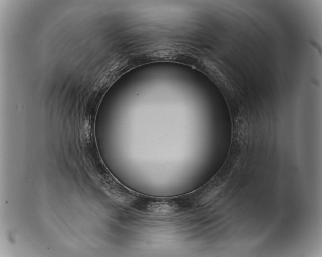 X0000100970597200807081221