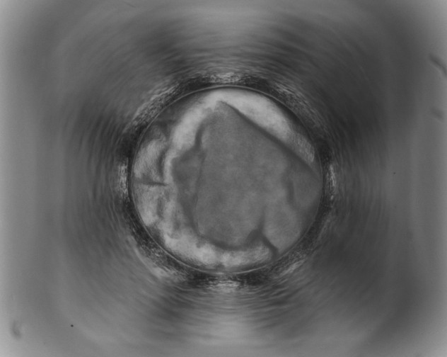 X0000100970598200807081221