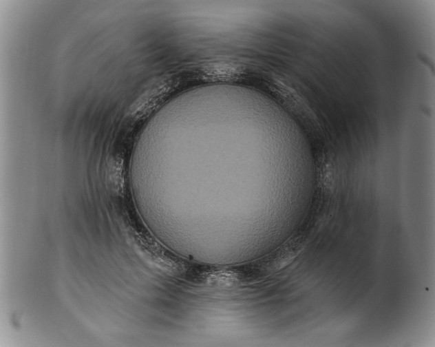 X0000100970599200807081221