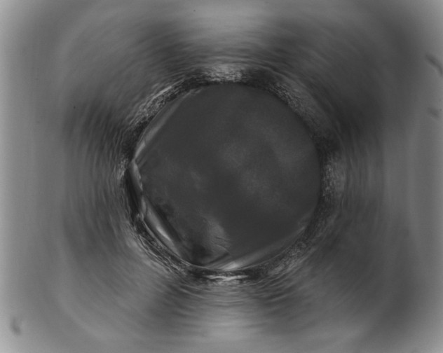 X0000100970600200807081221