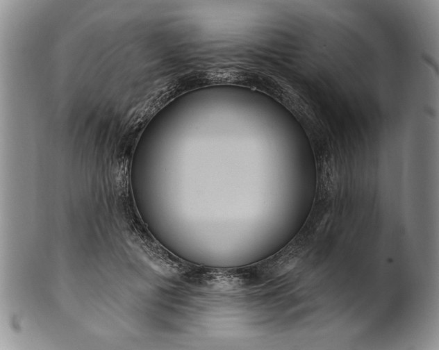 X0000100970601200807081221