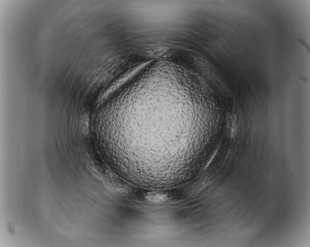 X0000100970602200807081221