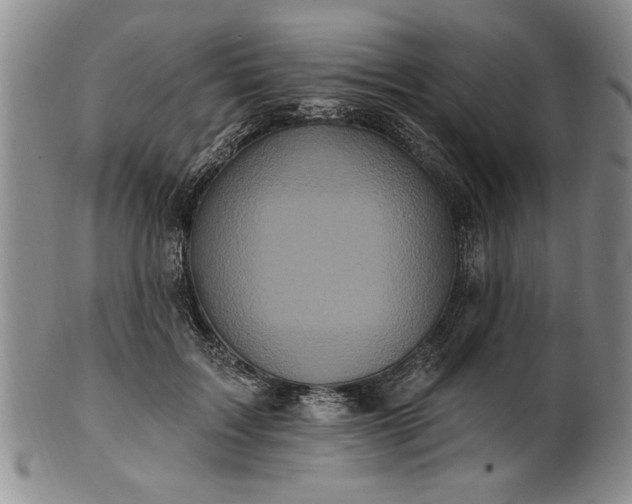 X0000100970603200807081221