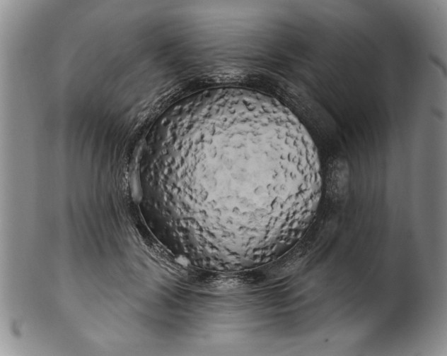 X0000100970604200807081221