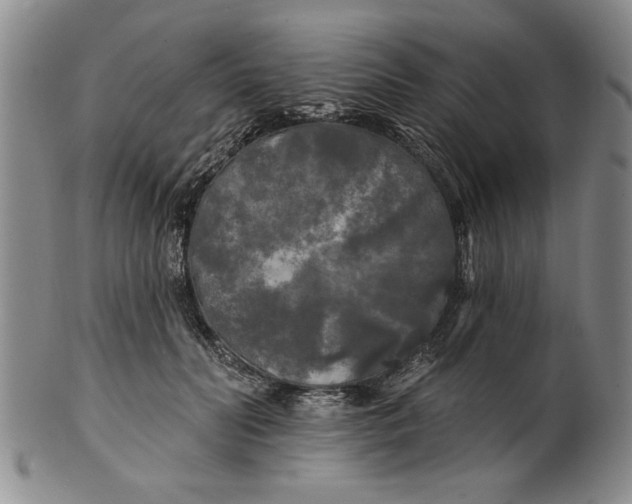 X0000100970606200807081221