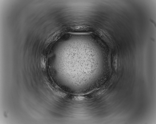 X0000100970607200807081221